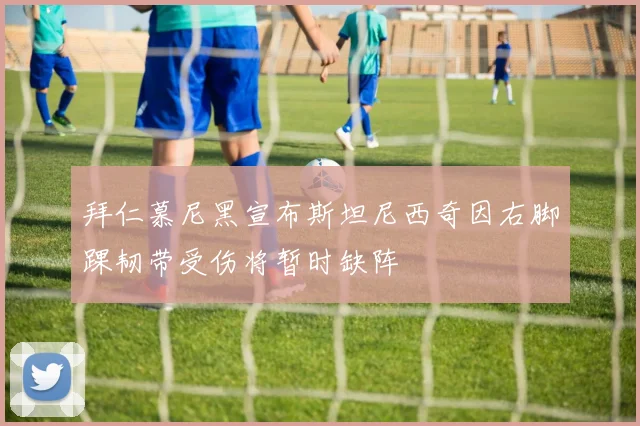 拜仁慕尼黑宣布斯坦尼西奇因右脚踝韧带受伤将暂时缺阵